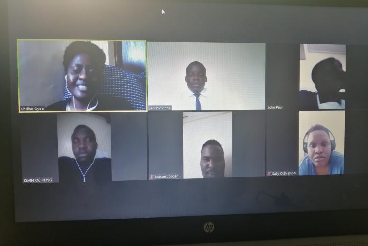 Screen Shot of Online Meeting