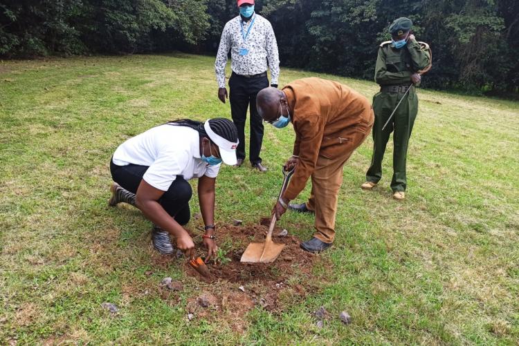 Prof. Francis Mulaa planting a tree 